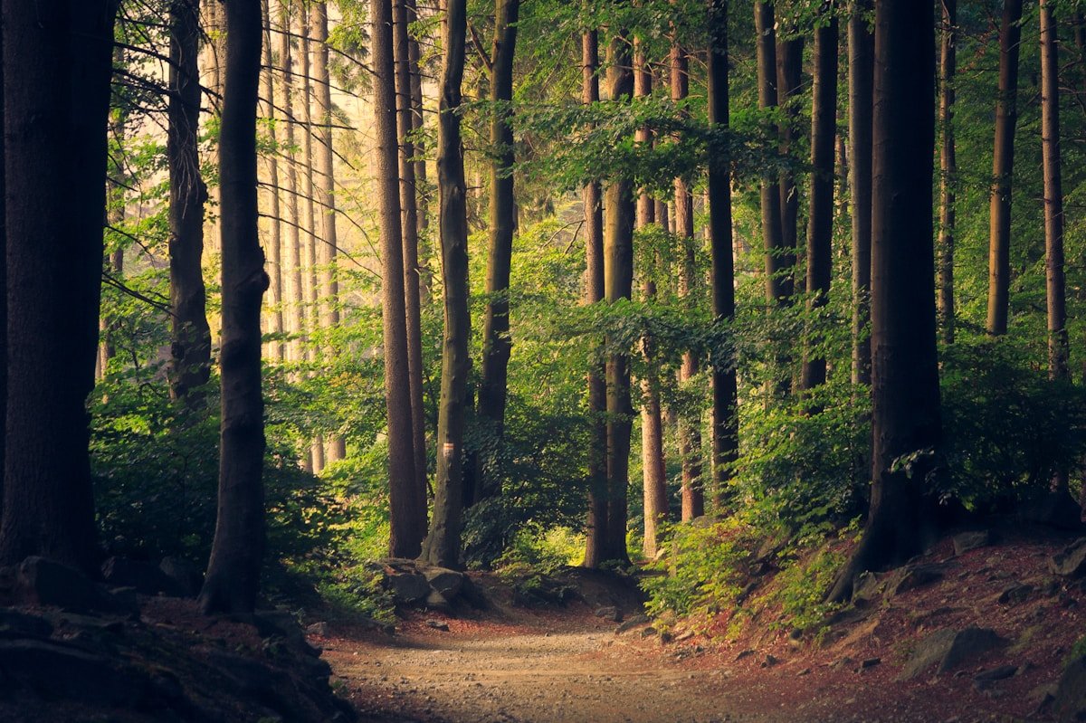 Mulher caminhando descalça na grama, olhar relaxado, luz de manhã cedo