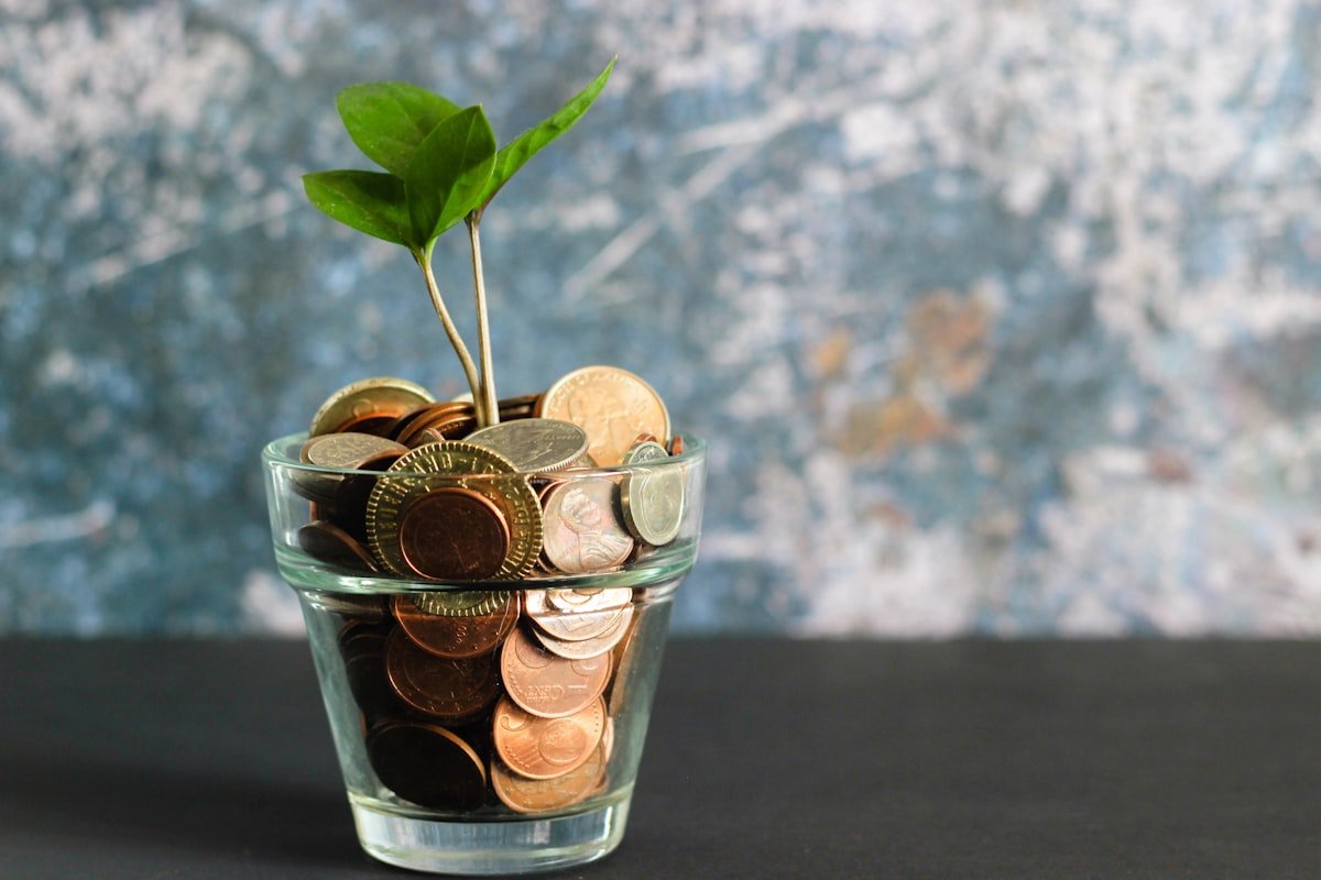 Planejamento financeiro guiado pela percepcao interna