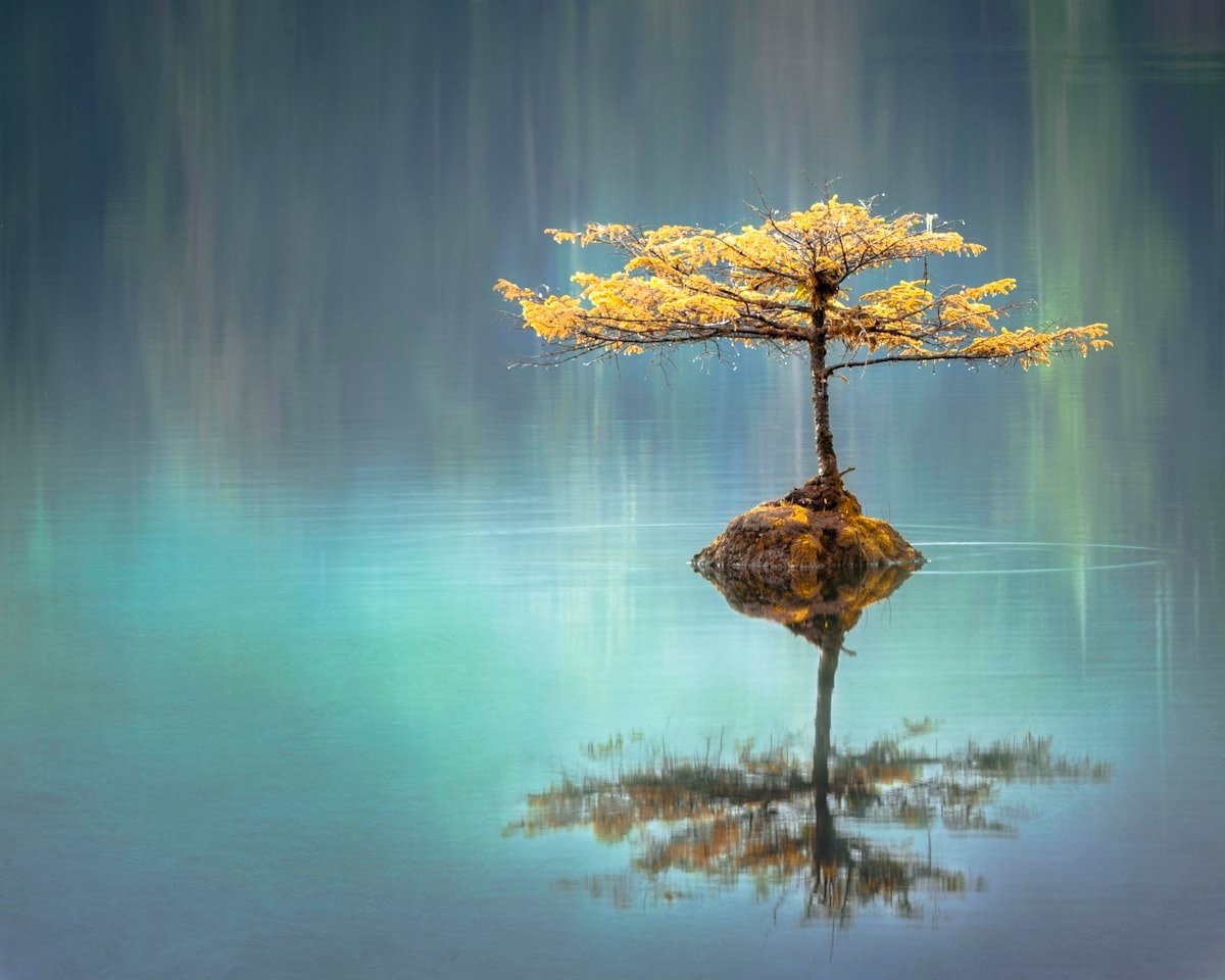Calma e silencio: introvertidos e sua percepcao intuitiva aguacada